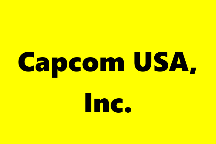 Software Solutions Provider Capcom USA Inc.