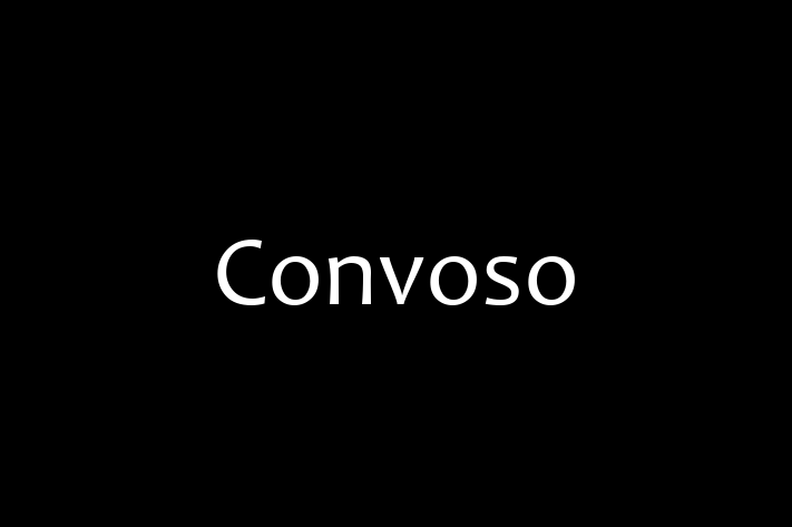 Software Development Firm Convoso