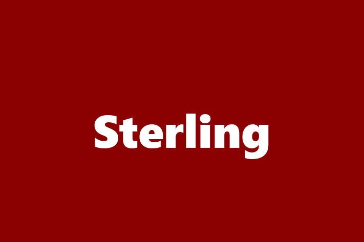 Human Resource Management Sterling