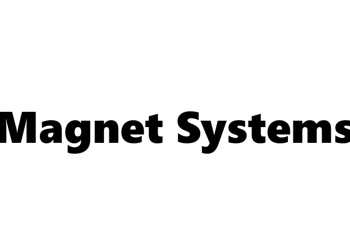 Software Firm Magnet Systems