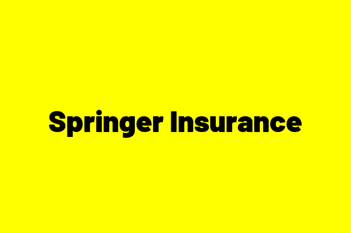 Human Resource Management Springer Insurance