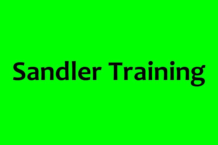 Technology Solutions Firm Sandler Training