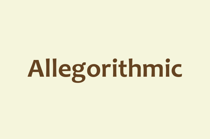 Software Solutions Provider Allegorithmic