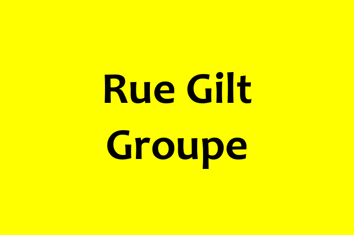 Workforce Management Rue Gilt Groupe