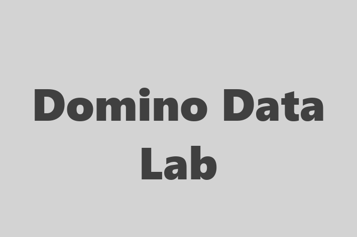 Application Development Company Domino Data Lab