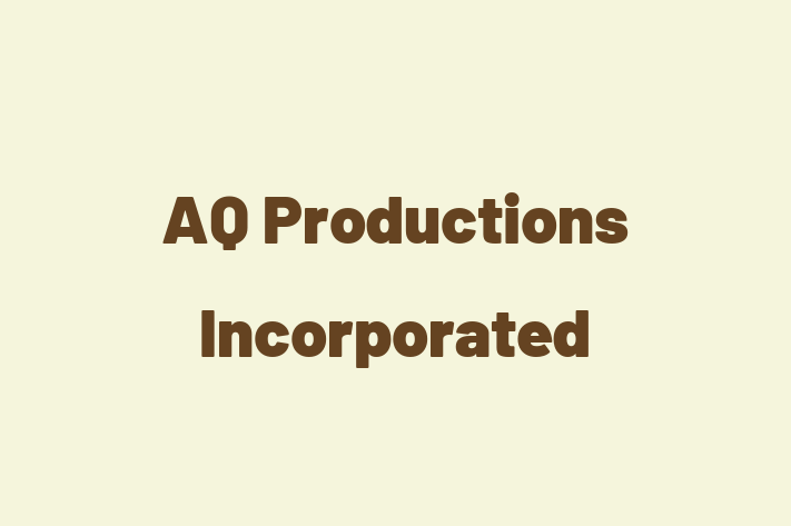 Software Services Company AQ Productions Incorporated