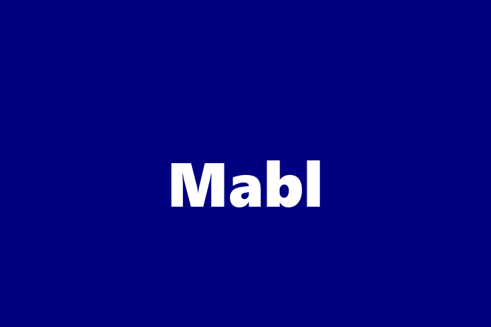 Software Engineering Company Mabl