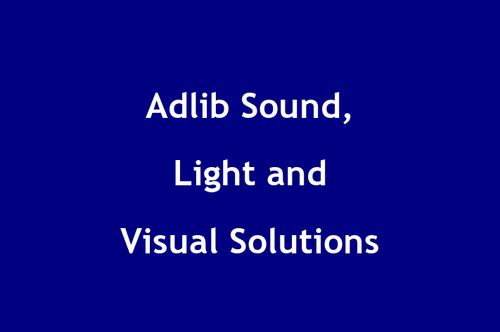 Software Development Firm Adlib   Sound Light and Visual Solutions