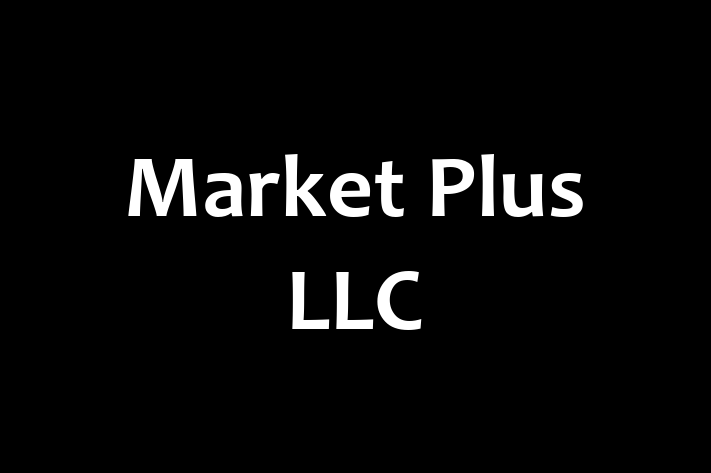 Technology Company Market Plus LLC