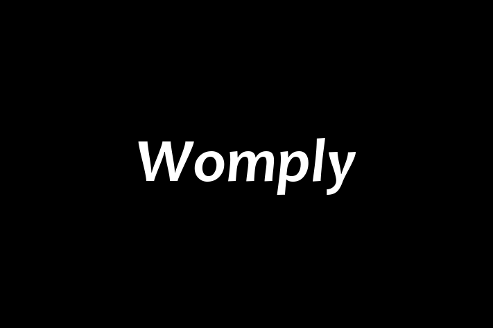 Software Solutions Provider Womply