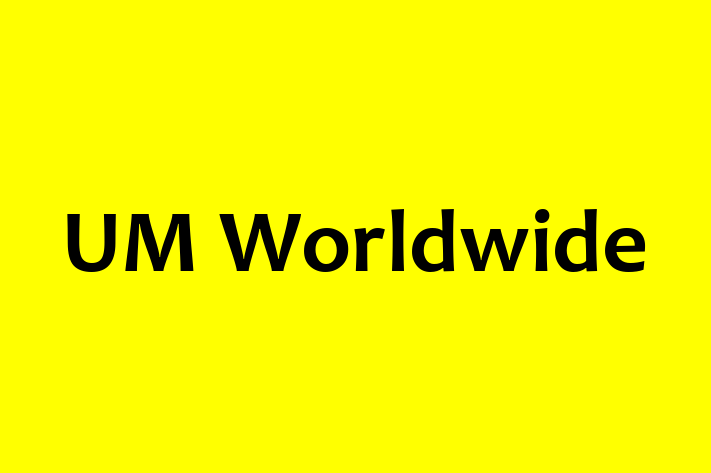 Software Solutions Provider UM Worldwide