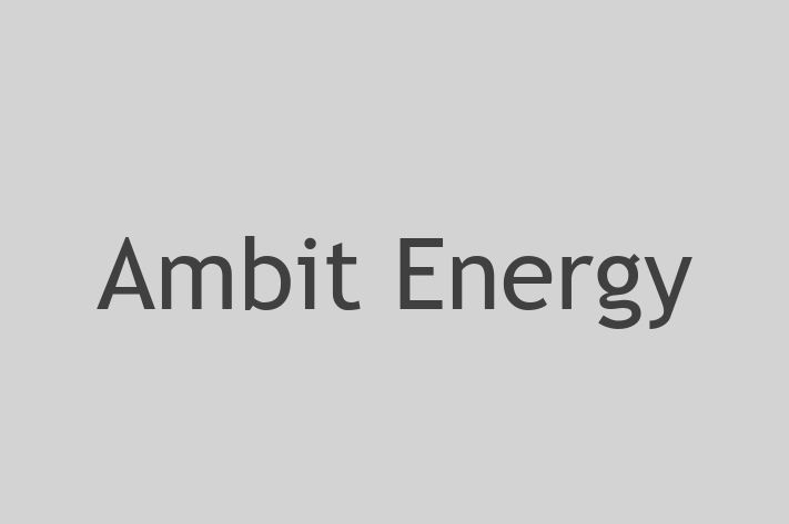 Technology Company Ambit Energy