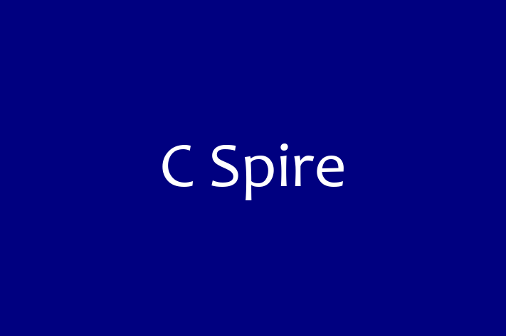 Software Firm C Spire