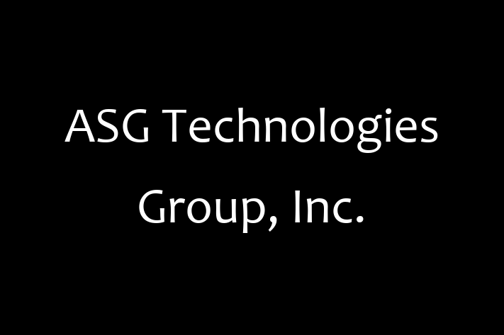 Software Services Company ASG Technologies Group Inc.