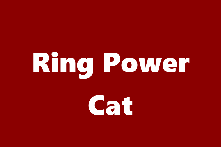 Personnel Management Ring Power Cat