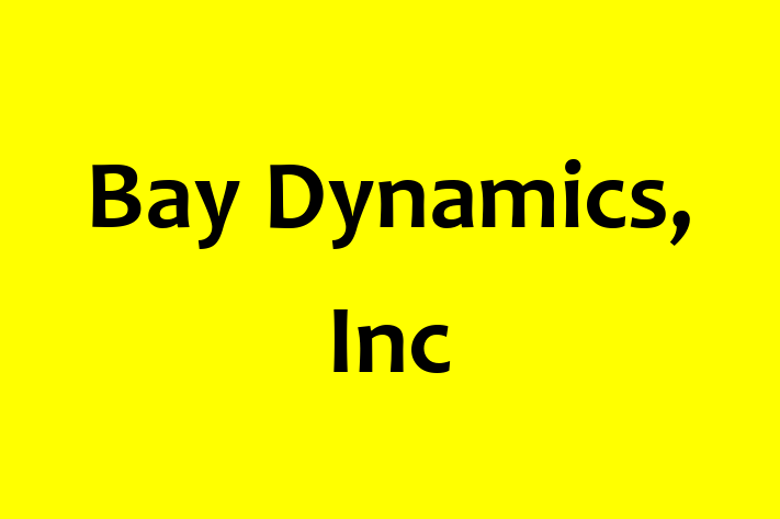 Software Development Firm Bay Dynamics Inc