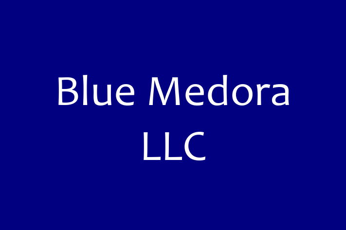 Technology Company Blue Medora LLC