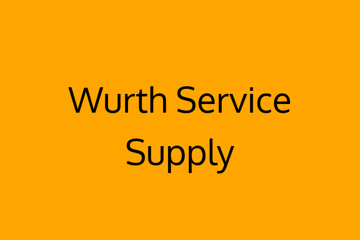 Software Consultancy Wurth Service Supply