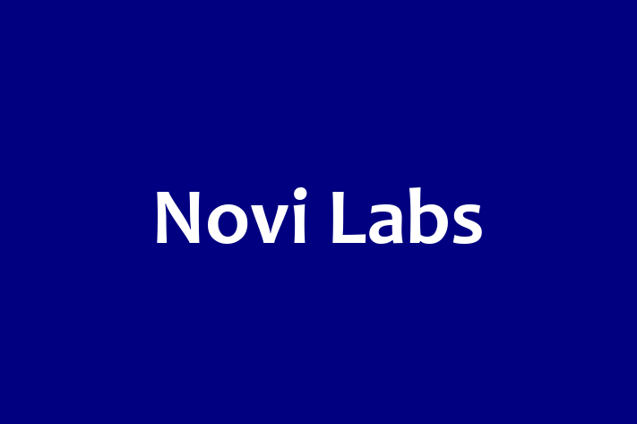 Tech Solutions Company Novi Labs