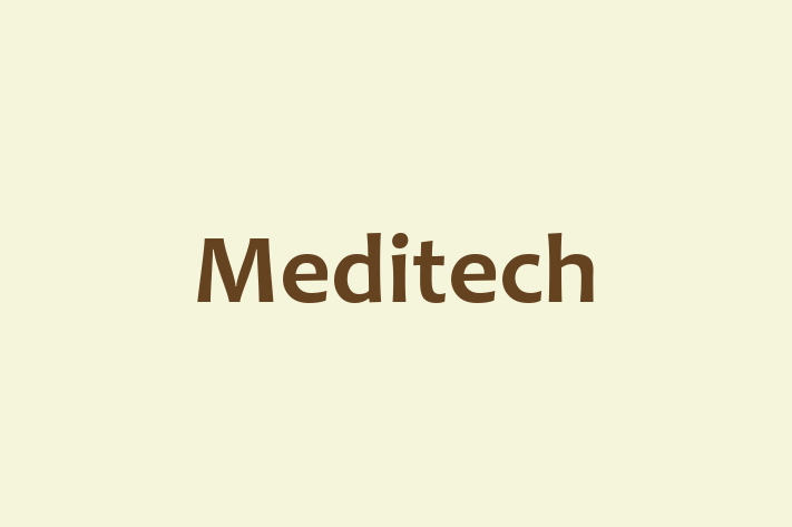 Tech Solutions Company Meditech