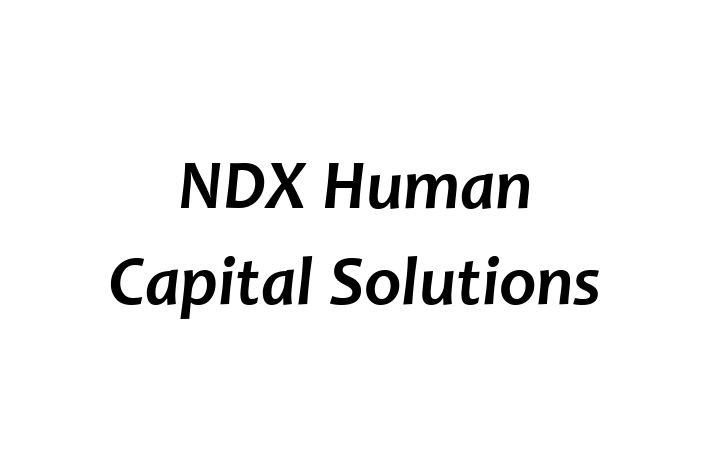 Workforce Management NDX Human Capital Solutions