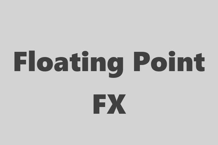 Digital Solutions Provider Floating Point FX