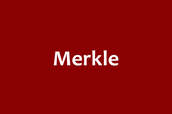 Software Consultancy Merkle