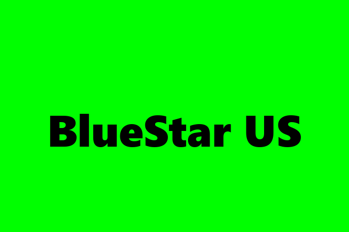 Tech Solutions Company BlueStar US