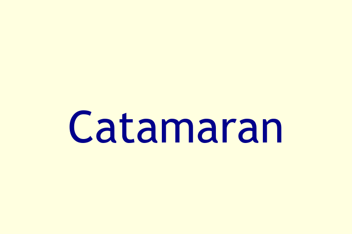 Tech Firm Catamaran