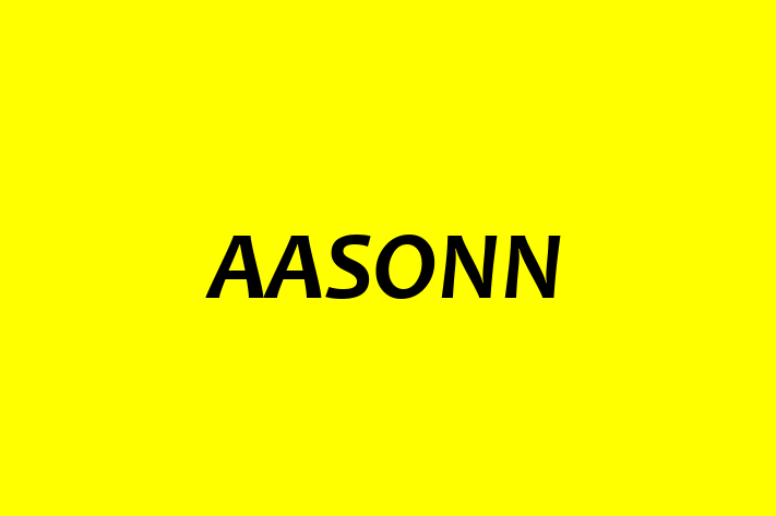 Digital Solutions Provider AASONN