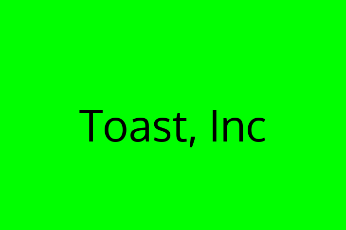 Software Solutions Provider Toast Inc