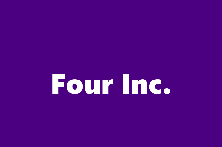 Technology Solutions Firm Four Inc.