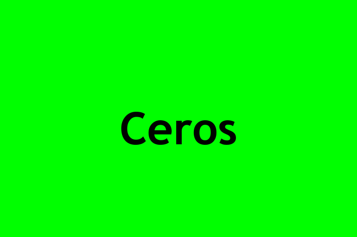 Application Development Company Ceros