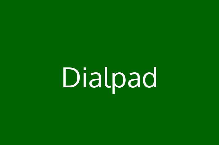 Software Solutions Provider Dialpad