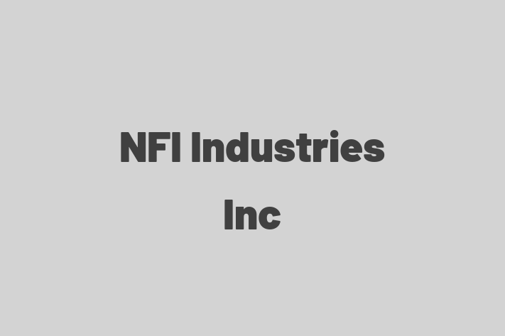 Software Services Company NFI Industries Inc