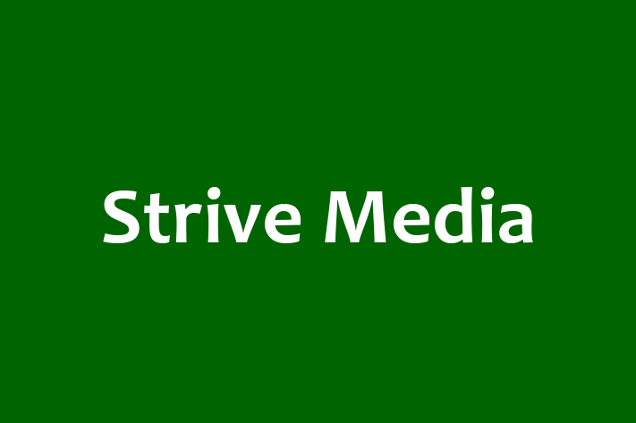 Software Development Company Strive Media