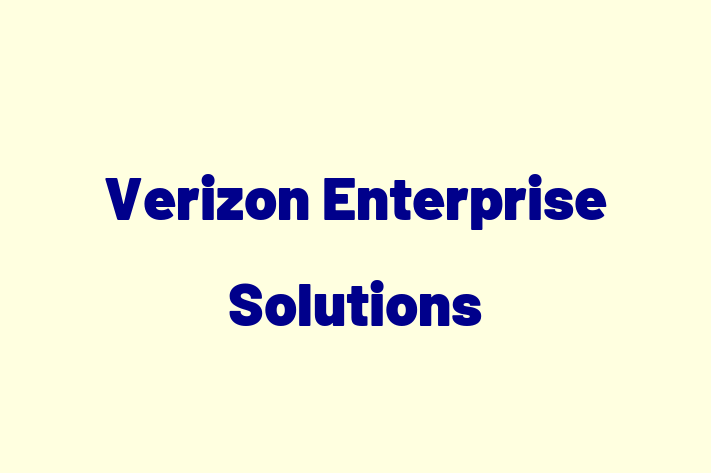 Software Development Company Verizon Enterprise Solutions