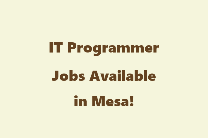 IT Programmer Jobs Available in Mesa