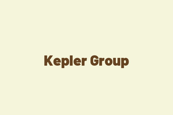 Tech Solutions Company Kepler Group