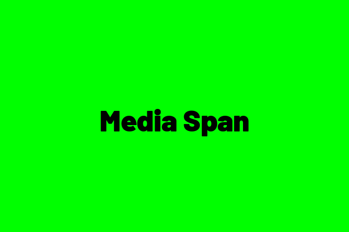 Software Development Company Media Span