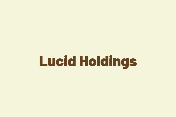 Software Consultancy Lucid Holdings