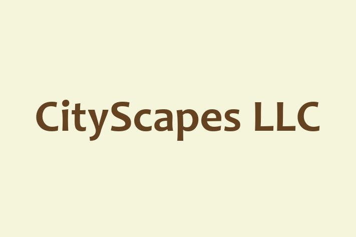 Digital Solutions Provider CityScapes LLC