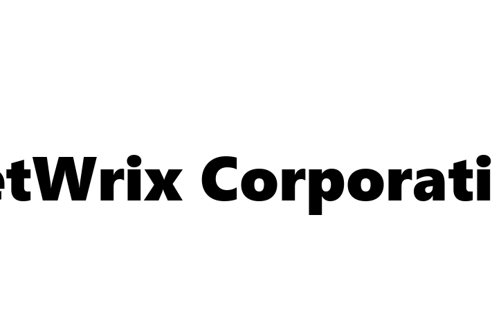 Software Consultancy NetWrix Corporation