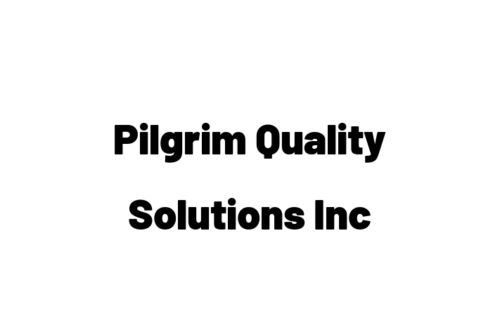 Technology Solutions Firm Pilgrim Quality Solutions Inc