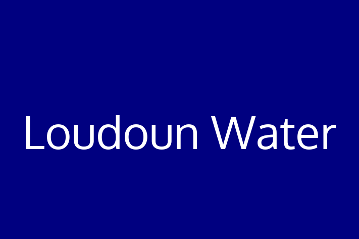 Technology Solutions Firm Loudoun Water