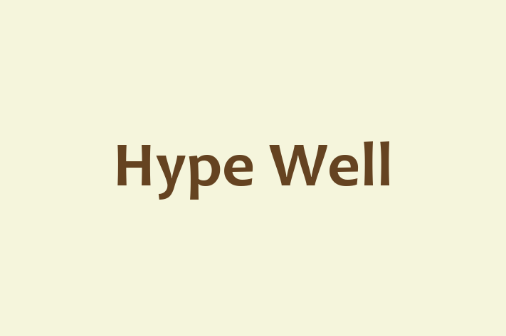 Digital Solutions Provider Hype Well