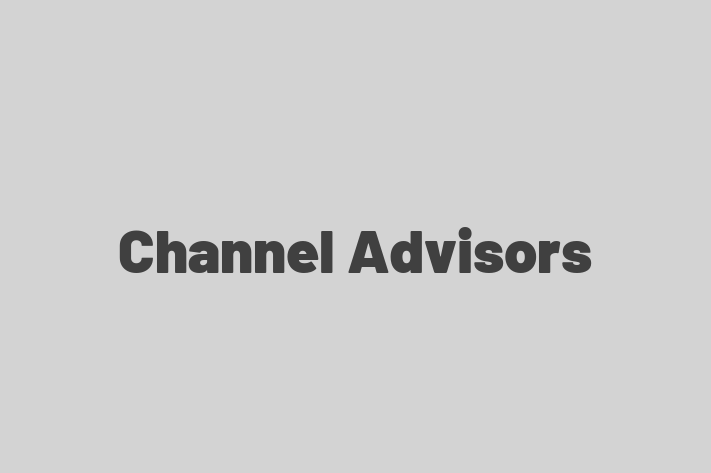 Tech Solutions Company Channel Advisors