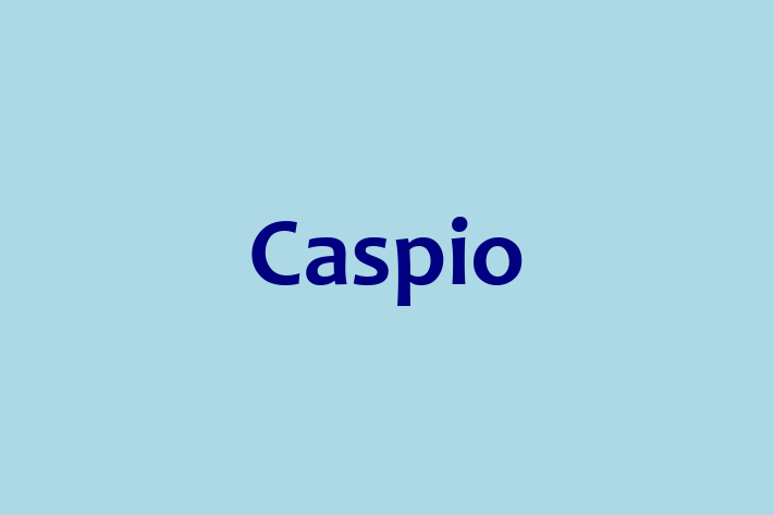 Software Development Company Caspio