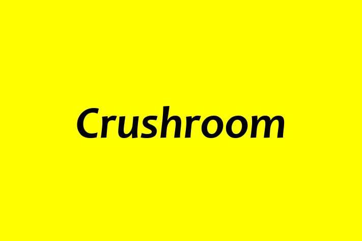 Talent Management Crushroom