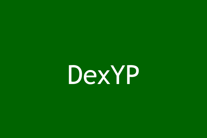 IT Company DexYP